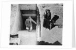 Visitors to the Tomb of Tutankhamun by Harry Burton