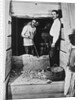 Howard Carter and a colleague excavating a tomb in the Valley of the Kings by Harry Burton