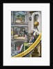 Tycho Brahe by Joan Blaeu