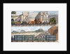 Trains on the Liverpool and Manchester Railway by SG Hughes