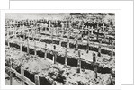 A German cemetery in France by Anonymous