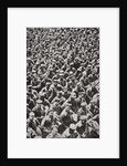 Thousands of German prisoners captured by the Allied advance by Anonymous