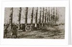 Filming the last shot fired before the Armistice by Anonymous