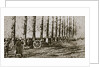 Filming the last shot fired before the Armistice by Anonymous