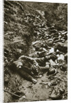 Italian dead at Cividale by Anonymous