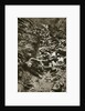 Italian dead at Cividale by Anonymous