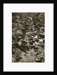 Italian dead at Cividale by Anonymous