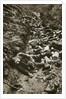 Italian dead at Cividale by Anonymous