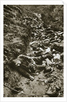 Italian dead at Cividale by Anonymous