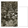 Italian dead at Cividale by Anonymous
