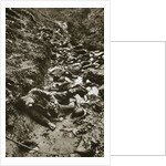 Italian dead at Cividale by Anonymous