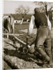 A farmer at work, ploughing a field by Anonymous