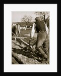 A farmer at work, ploughing a field by Anonymous