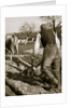 A farmer at work, ploughing a field by Anonymous