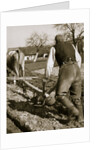 A farmer at work, ploughing a field by Anonymous