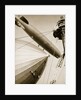 Germany's two mighty airships, the 'Graf Zeppelin' and the 'Hindenburg' by Anonymous