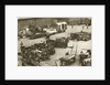 The 2nd Battalion of the Royal Sussex Regiment by AE Brown