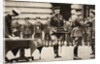 King George V awarding the Victoria Cross to Private Wilfred Edwards by Anonymous