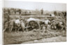 Manoeuvring a big gun in the mud by Anonymous