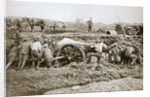 Manoeuvring a big gun in the mud by Anonymous
