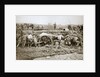Manoeuvring a big gun in the mud by Anonymous