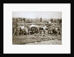 Manoeuvring a big gun in the mud by Anonymous