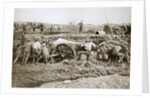 Manoeuvring a big gun in the mud by Anonymous