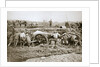 Manoeuvring a big gun in the mud by Anonymous