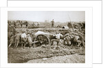 Manoeuvring a big gun in the mud by Anonymous