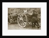Australian troops returning from the trenches with their mascot by Anonymous