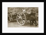 Australian troops returning from the trenches with their mascot by Anonymous