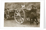 Australian troops returning from the trenches with their mascot by Anonymous