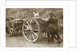 Australian troops returning from the trenches with their mascot by Anonymous