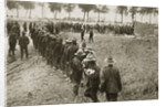 New Zealand troops queuing for a field canteen by Anonymous