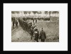 New Zealand troops queuing for a field canteen by Anonymous