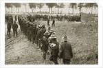 New Zealand troops queuing for a field canteen by Anonymous