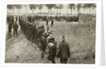 New Zealand troops queuing for a field canteen by Anonymous