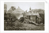 Threshing for straw for soldiers' use by Anonymous