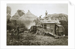 Threshing for straw for soldiers' use by Anonymous