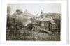 Threshing for straw for soldiers' use by Anonymous