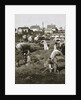 The Polish emigrant exodus by Anonymous