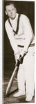 Jack Hobbs by Anonymous