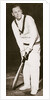 Jack Hobbs by Anonymous