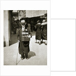 Blind man begging, Great Depression by Anonymous