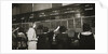 Female workers in the telephone room, New York Stock Exchange by Anonymous