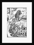 Harald Fairhair by Morris Meredith Williams