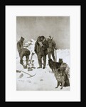 Captain McClintock's search for missing Arctic explorer Sir John Franklin by Anonymous