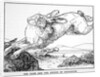 The Hare and the Bridge of Crocodiles by Anonymous
