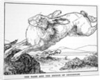 The Hare and the Bridge of Crocodiles by Anonymous