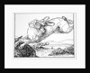 The Hare and the Bridge of Crocodiles by Anonymous
